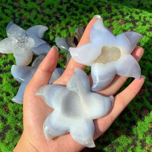 หินอาเกตทรงดาวทะเล คริสตัลธรรมชาติ ขัดเงา แกะสลัก สำหรับตกแต่งบ้าน ฮวงจุ้ย งานฝีมือ ของขวัญ ขายส่ง - Product Image 4