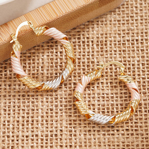 Orecchini a spirale cavi a tre colori da donna, morbidi ed eleganti, gioielli alla moda - Product Image 6