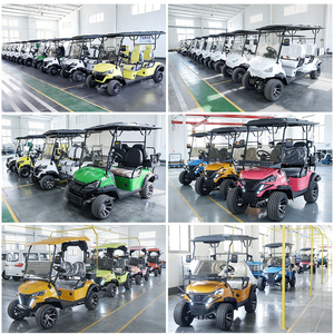 Carrito de Golf Eléctrico de 48V 5KW, Metálico, con Certificación CE, de 2 Plazas, Color Negro, con Diferencial en el Eje Trasero de Aluminio - Product Image 3