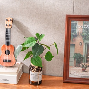 CallaFloral Mini Pothos Plante Artificielle en PVC, Décoration de Mariage, CL41009 - Product Image 1
