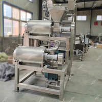 Commerciële Kleinschalige Groentepulper Extractor Machine Oranje Fruit Tomaat Pulping Verwerkingsproductielijn