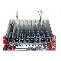 Machine à planter l'ail professionnelle pour les fermes, machine à semer l'ail agricole, semoir à ail