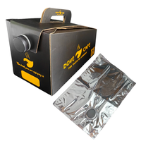 Sac en aluminium personnalisé 2L/3L/5L boîte extérieure valise pliante pour lait, bière, jus, boisson, café-Boîtes en papier portables