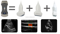 Ecógrafo Veterinario Portátil Doppler Color AI 3 en 1 con Sonda Inalámbrica PET - Precio