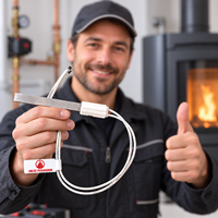 Allumeur à quartz à allumage rapide 230V 300W pour poêle à granulés