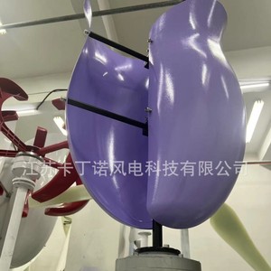 กังหันลมโรส 600W 1KW 2KW สำหรับใช้ในบ้าน กังหันลมขนาดเล็ก - Product Image 2