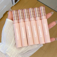 Cappuvini gros rose beauté maquillage 6 couleurs différentes velours rouge à lèvres pour dame 2023 nouveau Design lumière hydratant brillant à lèvres