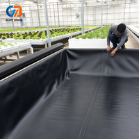 Membrane imperméable en HDPE, géomembrane noire en rouleau pour bassin à poissons, barrage, décharge, réservoir, parc, projets d'aménagement