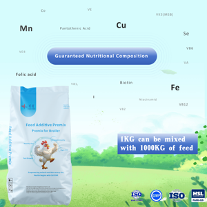 משקל העוף לקבל צמיחה מהירה המאיץ המתנע עוף folered תרכיז סיטונאי פרחת בביצועי בכורה - Product Image 4