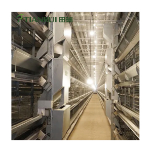 Cage en batterie pour élevage de poules pondeuses de meilleure qualité à bon prix à vendre - Product Image 6