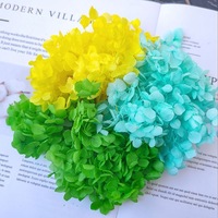 Kelopak Hortensia Kering Alami 20g/kotak, Sentuhan Asli, Untuk Dekorasi Natal, Hari Ibu, Pernikahan, DIY, dan Dekorasi Rumah