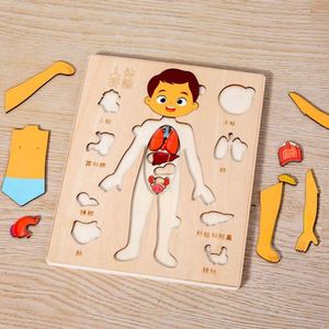 Puzzle en bois d'anatomie humaine, ensemble de jeu éducatif de la structure du corps humain, jouet de dessin animé DIY pour enfants - Product Image 3