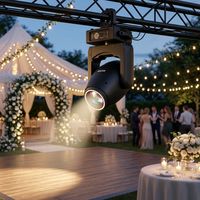 Projecteur LED 3-en-1 à tête mobile 300W avec zoom 4-35, faisceau, wash et motifs, lumière de scène DMX512 RDM, contrôle sonore, compatible Alexa