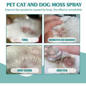 Spray Éliminateur d'Odeurs pour Niche d'Animaux, Désodorisant pour Niche de Chien et Chat, Désodorisant pour Litière de Chat, Désodorisant Anti-Urine - Product Image 3
