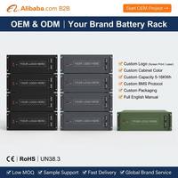 Batterieboxen und -gestelle LiFePO4 51,2V 5KWh 10KWh 16KWh 20KWh Heimenergiespeicher Rack-Montage Solarsystem OEM Großhandel CE