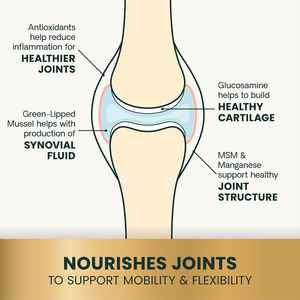 Potente 120 tabletas masticables con sabor a pollo, suplemento para la articulación de la cadera del perro, extracto de mejillón de labios verdes, cuidado de la salud efectivo - Product Image 5
