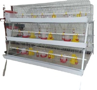 การออกแบบกรงไก่ไข่แบบ3หรือ4ชั้น,อุปกรณ์เลี้ยงสัตว์ปีกเครื่องฟักไข่ไก่ไข่