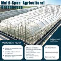 Serre Agricole Tunnel Multi-Portées avec Couverture en Plaques PC, Grande Taille, Structure en Acier Galvanisé à Chaud, à Vendre