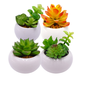 Petites Fausses <span class=keywords><strong>Plantes</strong></span> Succulentes Artificielles <span class=keywords><strong>Plantes</strong></span> en Pots Chambre Chambre Bureau Étagère <span class=keywords><strong>Salle</strong></span> <span class=keywords><strong>de</strong></span> <span class=keywords><strong>Bain</strong></span> Décor Mini Cactus en Plastique - Product Image 1