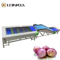 Lonkia Automatische Wortelsorteermaat En Reinigingsmachine \ Wortelwasmachines \ Wortelsorteermachine