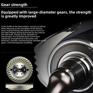 <span class=keywords><strong>รอก</strong></span>ตกปลาทะเลน้ำลึก <span class=keywords><strong>DAIWA</strong></span> <span class=keywords><strong>BG</strong></span> MQ แบบหมุน 6 แกนลูกปืน สำหรับมือซ้าย ใช้สำหรับตกปลาใหญ่บนเรือ - Product Image 2