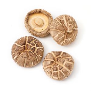 优质营养栽培干花蘑菇完好 - Product Image 4