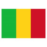 Drapeaux 100 % polyester 3x5 pieds à impression personnalisée, livraison rapide en gros, drapeau de la République du Mali, drapeau de tous les pays