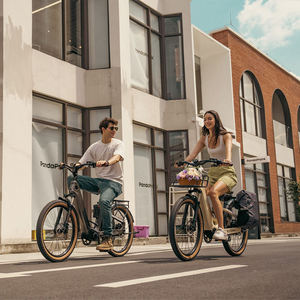 Vélo électrique de ville léger 48V 250W aux normes européennes, moyeu arrière, 7 vitesses, batterie lithium 9.6Ah, cadre carbone T800, écran numérique - Product Image 6