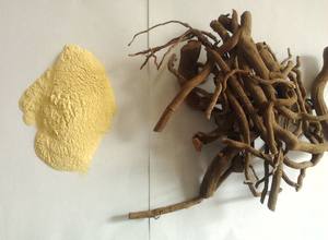 Fabrik Bulk Supply Kava Extrakt Kava lacton Kava Extrakt Pulver 100 gr/beutel - Product Image 3