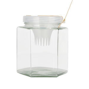 Bouteille de pêche en verre avec bec verseur inversé, taille moyenne et grande, pour capturer petits poissons, crevettes, crabes, piège d'aquaculture - Product Image 5