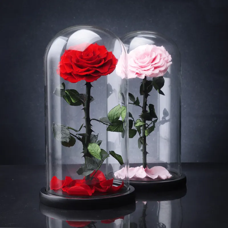 Angemessener Preis Ewige Blume Glaskuppel Herz Design konserviert echte frische Austin Blume konservierte Rose in Glaskuppel