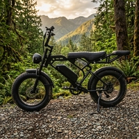 Vélo électrique tout-terrain à pneus larges pour adultes, Stealth Bomber 48V 500W, idéal pour la conduite hors route en montagne et les trajets en ville - BE020