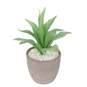 Plantas suculentas de plástico floral baratas 20cm <span class=keywords><strong>Mini</strong></span> <span class=keywords><strong>Agave</strong></span> artificial para Decoración - Product Image 3