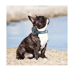 Toptan özel ayarlanabilir süper Fiber PU deri köpek tasması anti-kayıp köpek etiketi özel gravür üreticisi