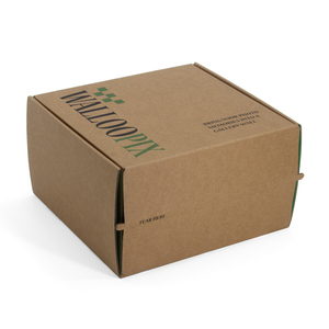 Scatole per Spedizioni Personalizzate con Logo Stampato, <span class=keywords><strong>Design</strong></span> Gratuito, Chiusura Autoadesiva e Striscia a Strappo - Product Image 6