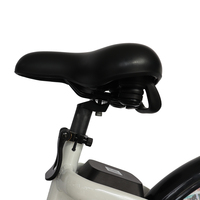 Bicicleta Eléctrica Compartida, Cuadro de Aleación de Aluminio, Motor con Batería de Litio, Freno de Rodillo Delantero y Trasero
