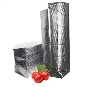Multi-functional Thermal Food <b>Box</b> with EPE Foam Insulation Customizable Capacity & Closure Reinforced Edges - Product Image 1