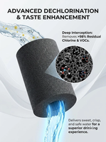 Purificador de Agua de Grifo con Bloque de Carbón Activado para Uso en Automóviles y Hogares, Filtro de Fregadero de 1.0 Micras con Fuente de Alimentación para Vehículos