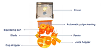 Distributeur Automatique Entièrement de Jus de Fruits Naturels Frais Citron Orange