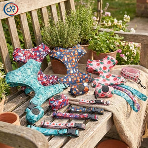 Arnés de Perro Reversible de Lujo OKKPETS, Conjunto Ajustable con <span class=keywords><strong>Collar</strong></span> de Neopreno, Correa, Bolsa para Excrementos y Pañuelo, Atuendo Transpirable para Cachorros - Product Image 1