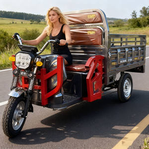 Tricycle électrique de cabine de 1.6m avec puissance de <span class=keywords><strong>1500W</strong></span> et tricycle de cabine ouverte en acier inoxydable de 72V - Product Image 6