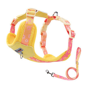 Personalized Polyester Mesh Pet Leashes <b>Harnesses</b> With Custom Print Adjustable For <b>Dog</b> Walking Outdoor - Product Image 3