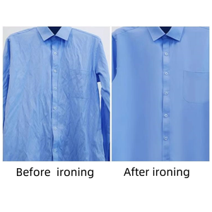 Vente directe d'usine, fer à repasser électrique puissant de 2000 W, défroisseur vapeur pour vêtements - Product Image 6