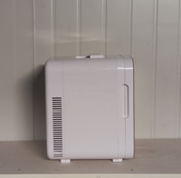 Réfrigérateur cosmétique portable de 10 L prêt pour les camping-cars, faible bruit, économe en énergie, avec design en marbre, couleur rose personnalisée