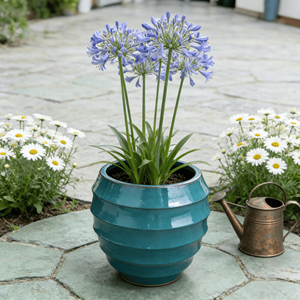 Pot de fleurs en céramique, pot à plantes brillant bleu sarcelle, design horizontal, trou de drainage, décoration intérieure/extérieure pour jardin et patio, vente en gros - Product Image 1