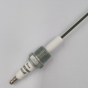 Electrodo de detección de encendido 20/5000 de Estados Unidos, sonda de electrodo, enchufe 10002242-1, detector para Stock200 - Product Image 4