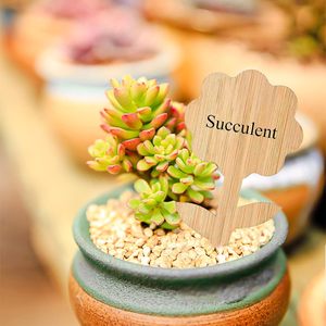 Lot de 8 étiquettes d'herbes en bois Accessoires de jardinage pour herbes de cuisine Marqueurs de plantes pour <span class=keywords><strong>jardin</strong></span> <span class=keywords><strong>Cadeau</strong></span> parfait - Product Image 6