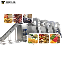 TEKFOOD Aardappelchips Hetelucht Drooglijn Fruit en Groente Continue Droger Meerlaags Banddroger Apparatuur