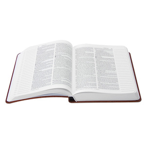 <span class=keywords><strong>Bible</strong></span> personnalisée avec couverture en cuir, livre relié, estampage à chaud doré, design magnifique, service d'impression de livres d'histoires bibliques - Product Image 3