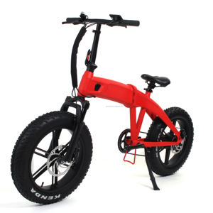 Bicicleta eléctrica personalizada de 20 pulgadas, bicicleta plegable de neumáticos gruesos de 48V, motor Bldc de 250W, 500W, 1000W, minibicicleta Shimano de 8 velocidades - Product Image 1